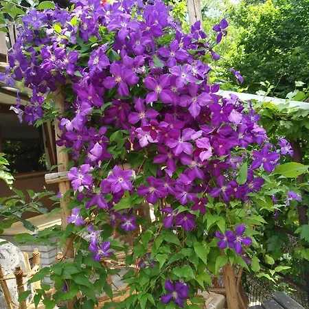 Apartament Apartma Pr Martin *