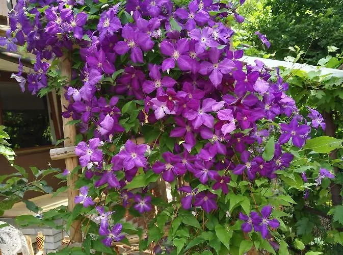 شقة Apartma Pr Martin *