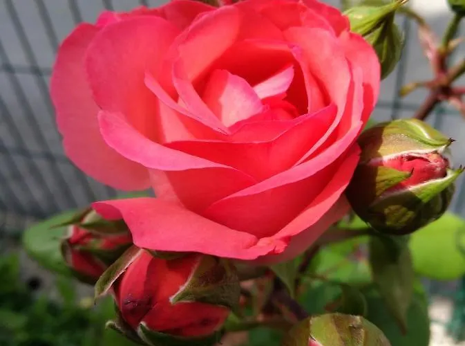 דירה Apartma Pr Martin